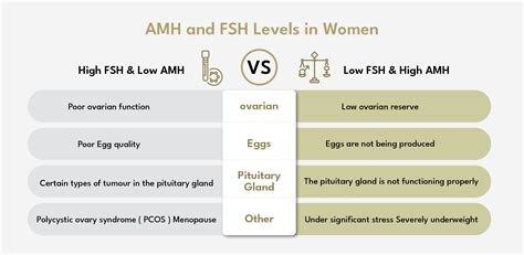Fertility Treatments and FSH Levels