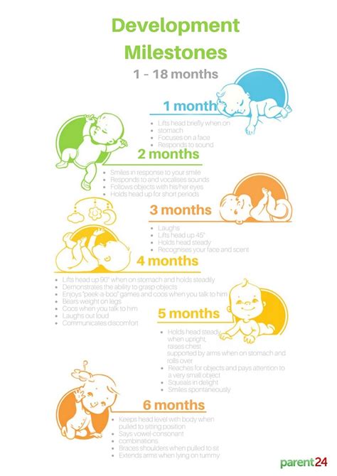 Fetal Development Milestones