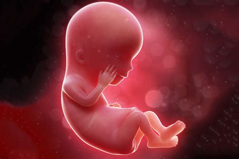Fetal Movement Monitoring