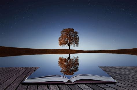 Final Reflections on Recovery