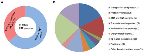 Flagyl Resistance