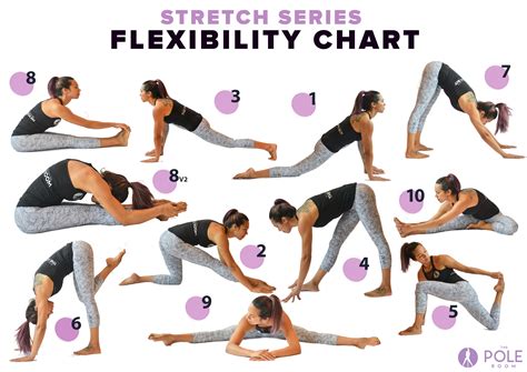 Flexibility and Stretching Exercises