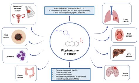 Working Mechanism of Fluphenazine