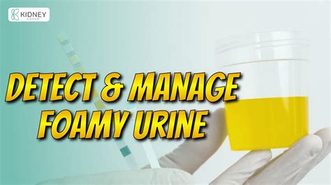 Foamy Urine Conclusion