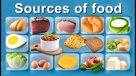 Food sources of calcium and vitamin D
