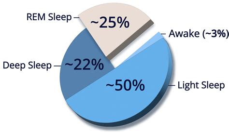 Functions of REM Sleep