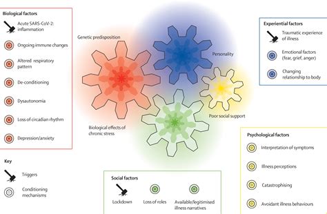Future Directions for Long Covid Research