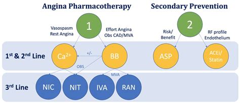 Future Directions in Angina Management