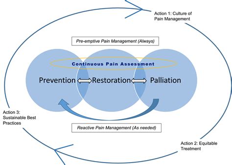 Future Directions in Angina Management