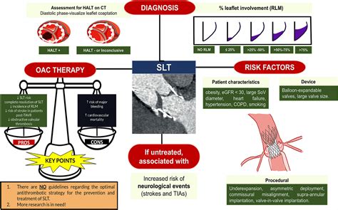 Future Directions in Anticoagulation Therapy