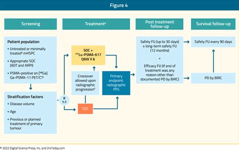 Future Directions in BPH Treatment