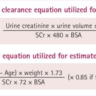 Future Directions in Creatinine Clearance Range Research