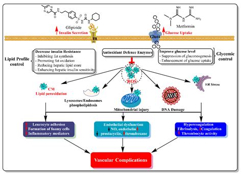 Future directions in glipizide treatment