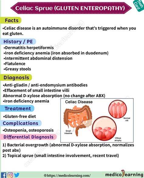 Future Directions in Gluten Enteropathy Diagnosis and Treatment
