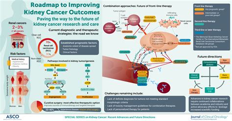 Future Directions in Kidney Health