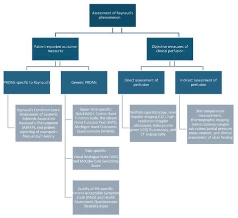 Future Directions in Raynauds Research