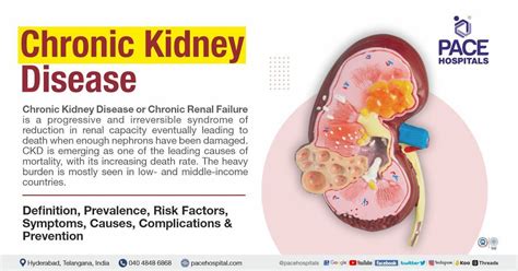 Future Directions in Stage 3 Kidney Failure Management