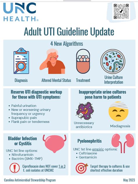 Future Directions in UTI Management