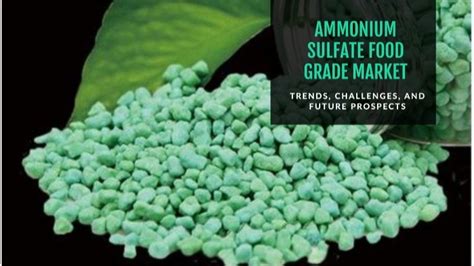 Future Prospects of Ferrous Sulfate