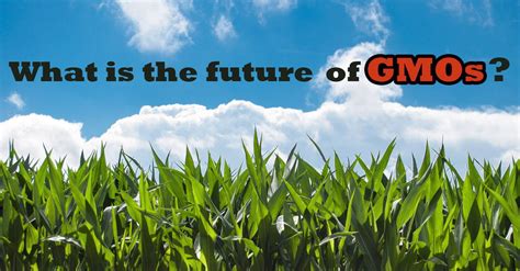 Future of GMOs image