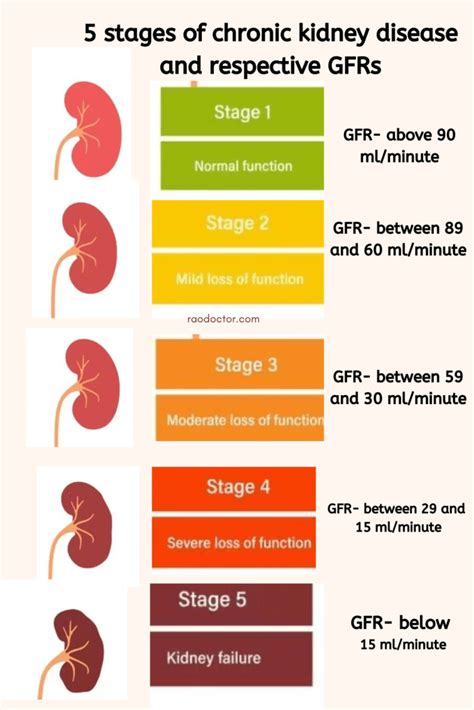 GFR Kidney Disease