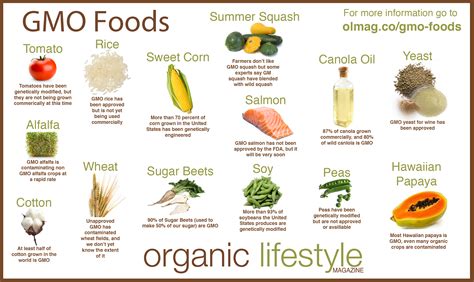 GMO Foods List image