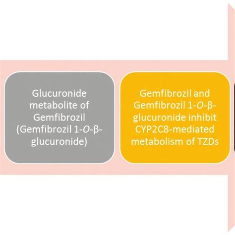 Gemfibrozil Interactions