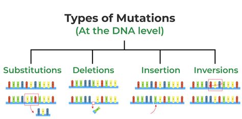 Genetic Mutations