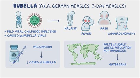 German Measles Facts