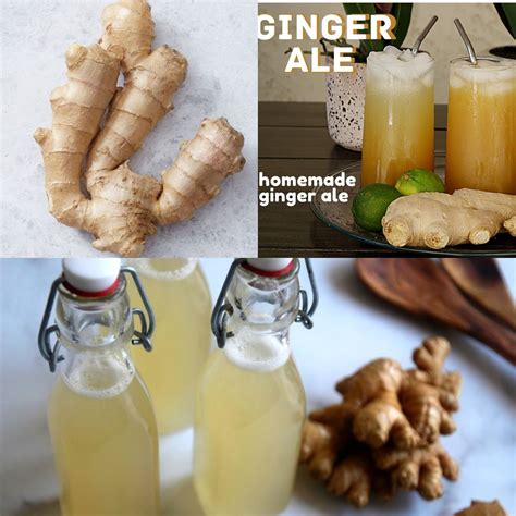 Ginger