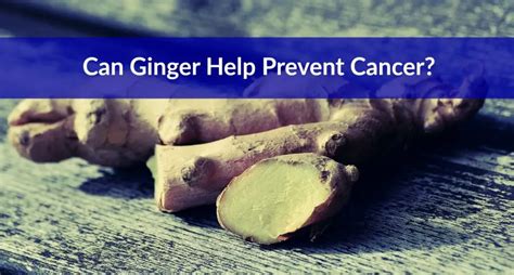 Ginger Cancer Prevention