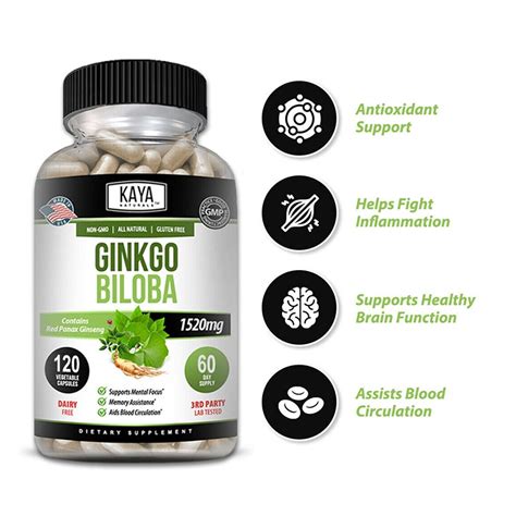Ginkgo biloba mental health benefits