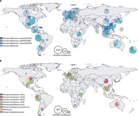 Global Perspective Respiratory Viruses