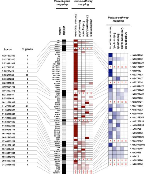 Global Response to Variants