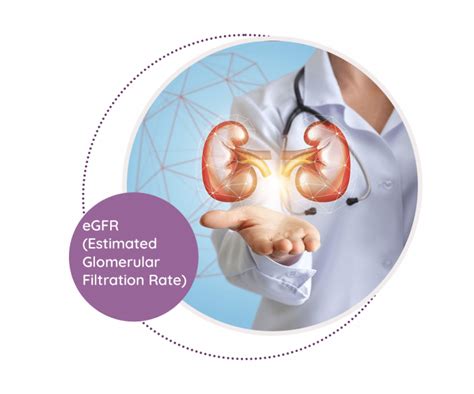 Glomerular Filtration Rate