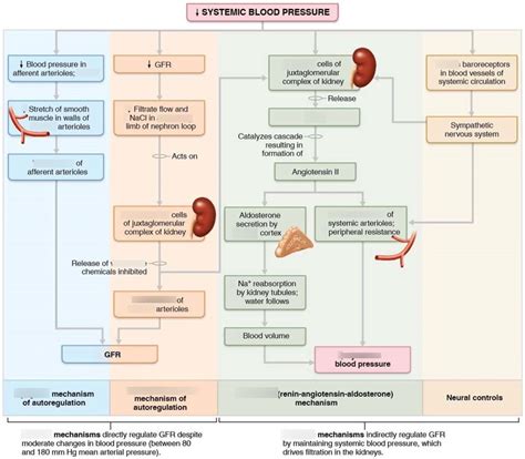 Glomerular Filtration Rate and Lifestyle Factors