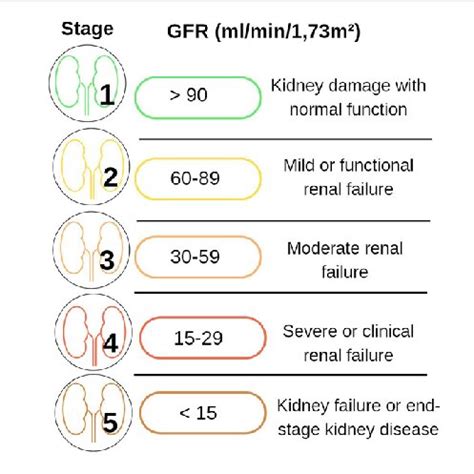 Glomerular Filtration Rate and Treatment Options