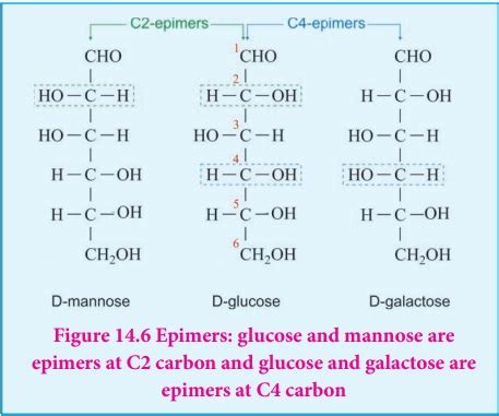 Glucose Preparation