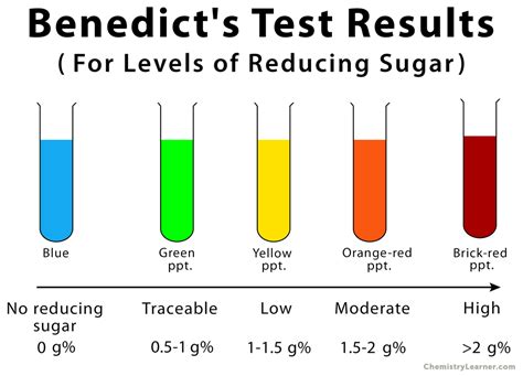 Glucose Testing Conclusion
