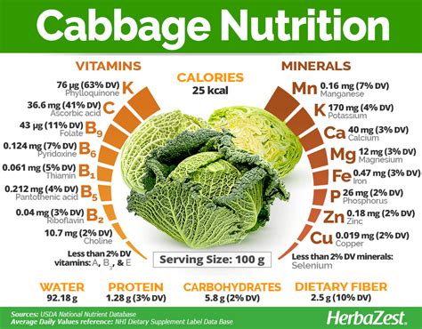 Green Cabbage Nutrition Facts