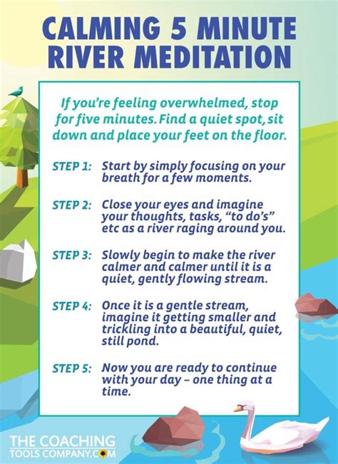 Guided Meditation