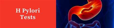 H. Pylori Test Benefits