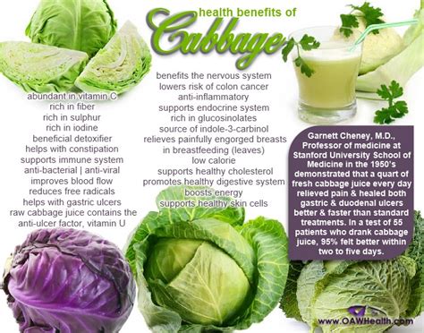 Health Benefits of Green Cabbage