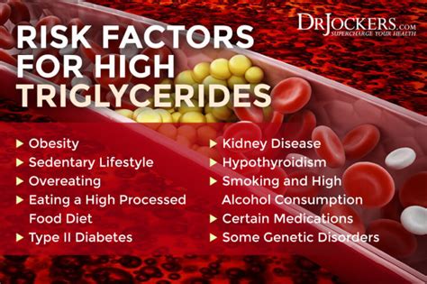 Health Risks Associated with High Triglyceride Levels