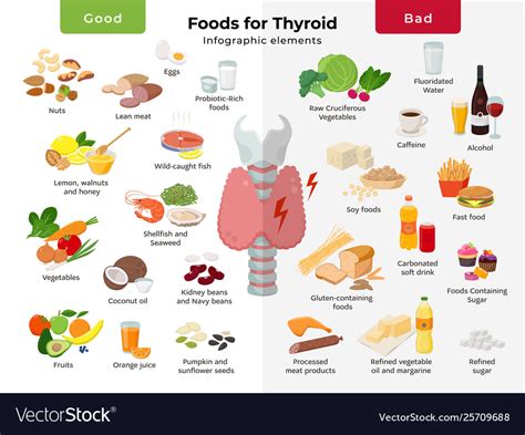 Healthy Thyroid