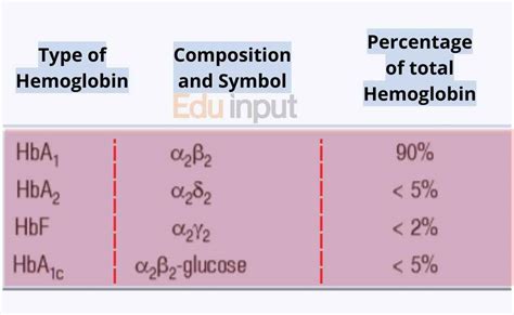 Hemoglobin Molecule