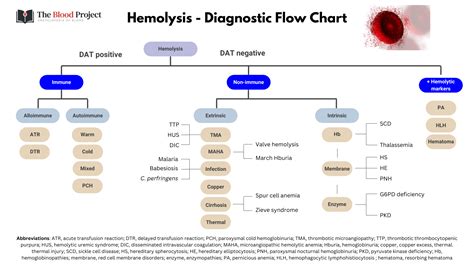 Hemolytic Anemia
