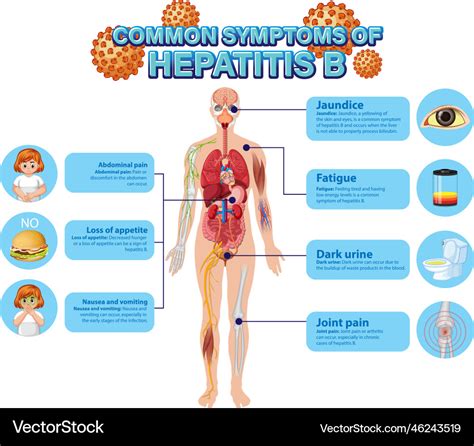 Hepatitis B Signs and Symptoms