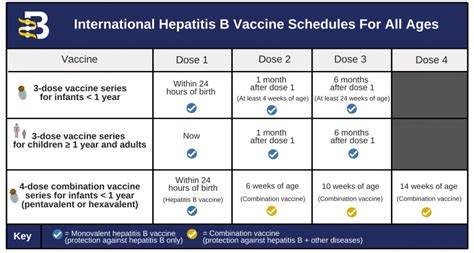 Hepatitis B Vaccine Schedule