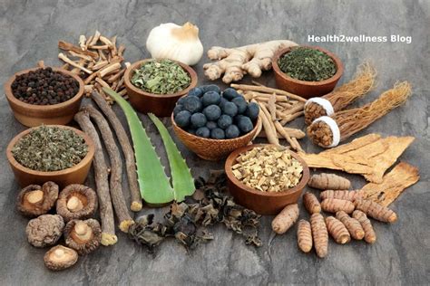 Herbal Remedies for Low Blood Pressure